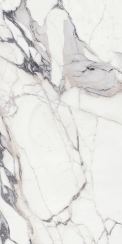 Płyta wielkoformatowa Florim Les Origines Argent Glossy 120x240x0,6 cm, Gatunek 2