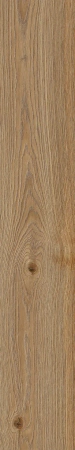Płytka gresowa Ragno Secret Rovere 20x120 cm