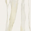 Płyta wielkoformatowa Florim I Classici Calacatta Gold Matte 120x120x0,6 cm