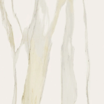 Płyta wielkoformatowa Florim I Classici Calacatta Gold Matte 120x120x1 cm