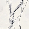 Płyta wielkoformatowa Florim B&W Marble Breach High-Glossy 120x120x0,6 cm