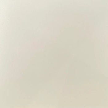 Mono Porcelain Plain Bone Matte 60x60 cm