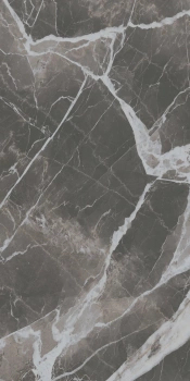 Płyta wielkoformatowa Florim Calacatta Black Glossy 160x320x0,6 cm, Gatunek 2