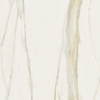 Płyta wielkoformatowa Florim I Classici Calacatta Gold Matte 120x120x1 cm