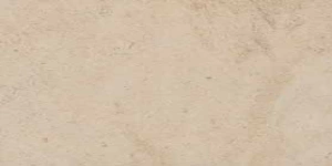 Stontech/1.0 Stonbeige/2.0 Naturale 40x80 cm, Gatunek 2