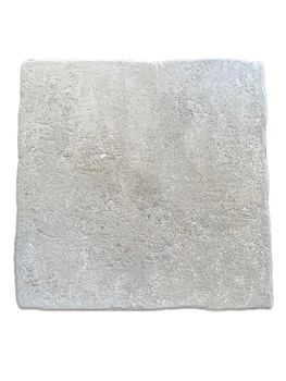 Chateaux de la Loire Amboise 45,6x45,6 cm