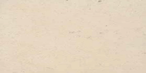 Stontech/1.0 Stonwhite/3.0 Lucido 40x80 cm, Gatunek 2