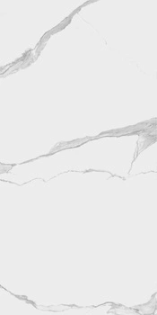Płyta wielkoformatowa Florim I Classici Statuario Chain C Glossy 120x240x0,6 cm, Gatunek 2